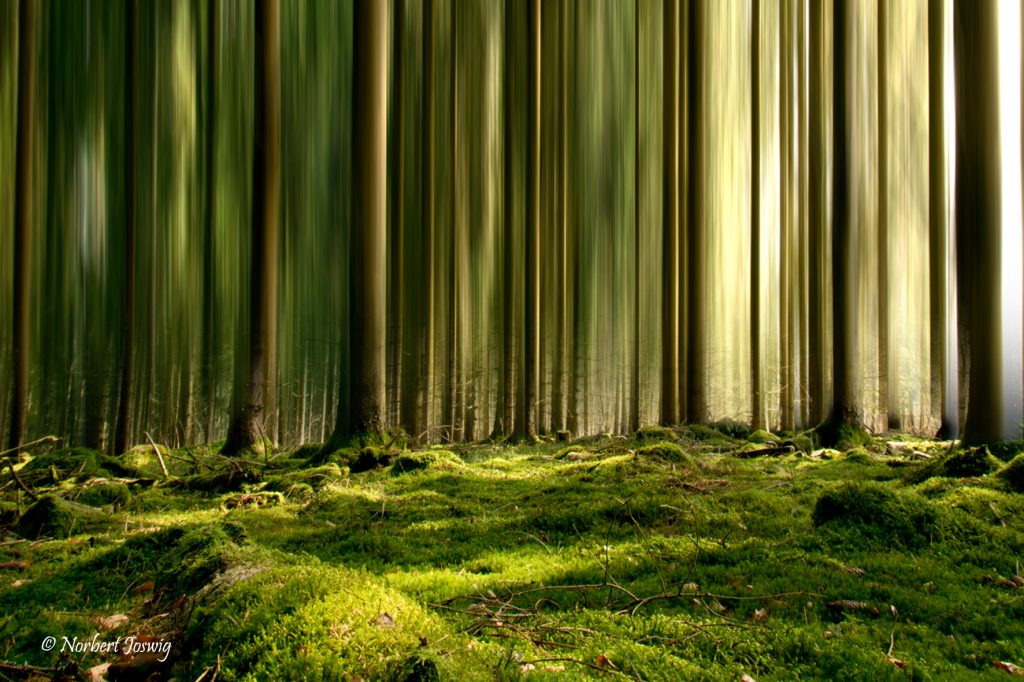 Fotografie: Bildbearbeitung / Naturfotografie